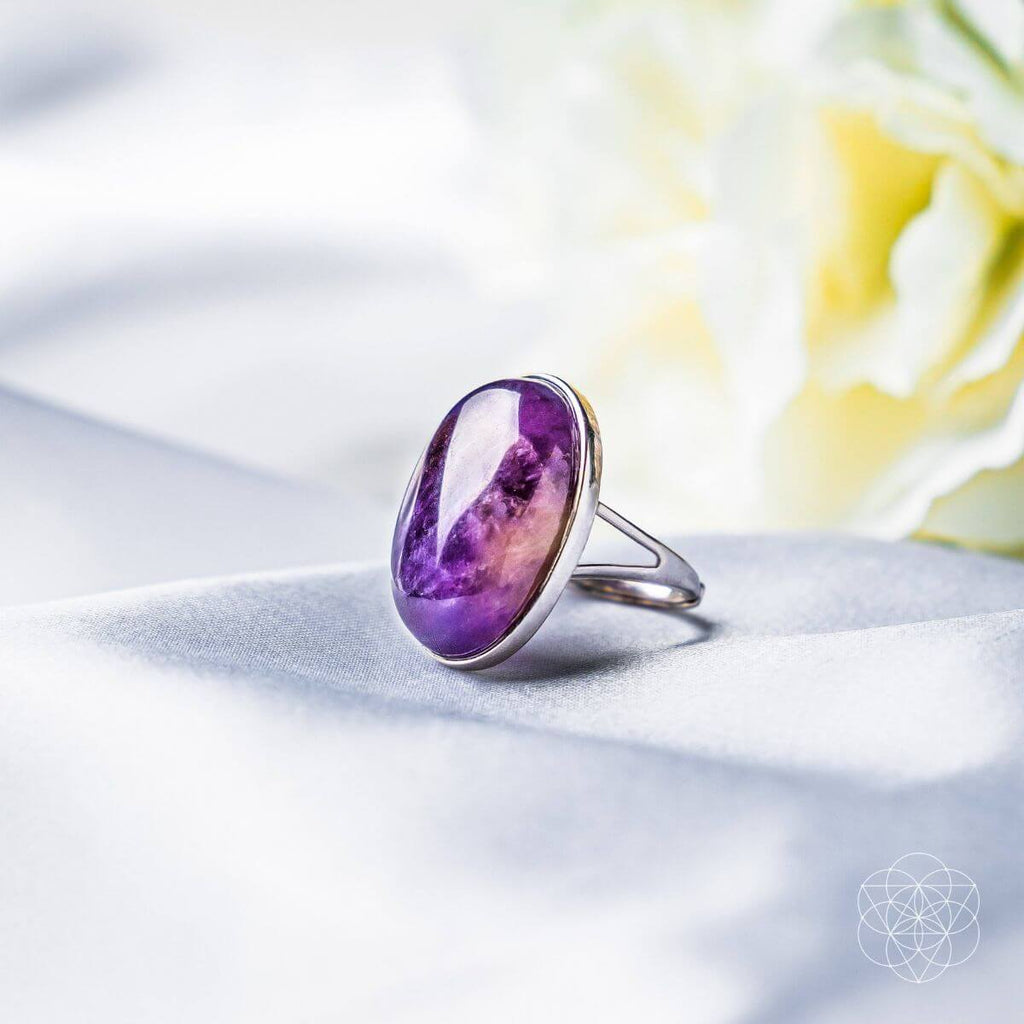 The Visualization Ring